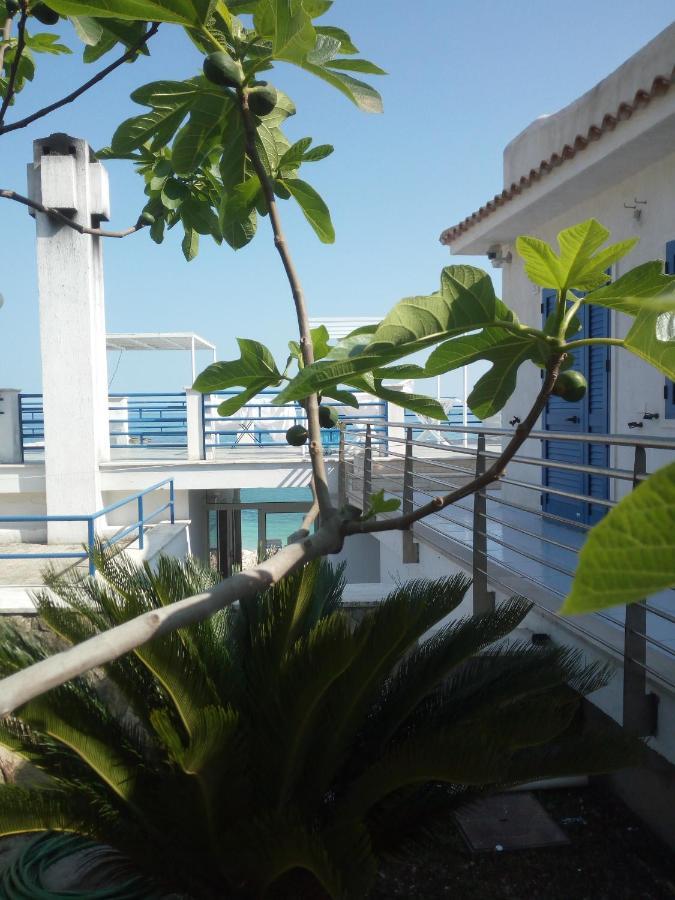 B&B Conca Del Faro Mattinata Luaran gambar